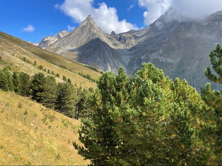 Trail Tour des Glaciers de la Vanoise