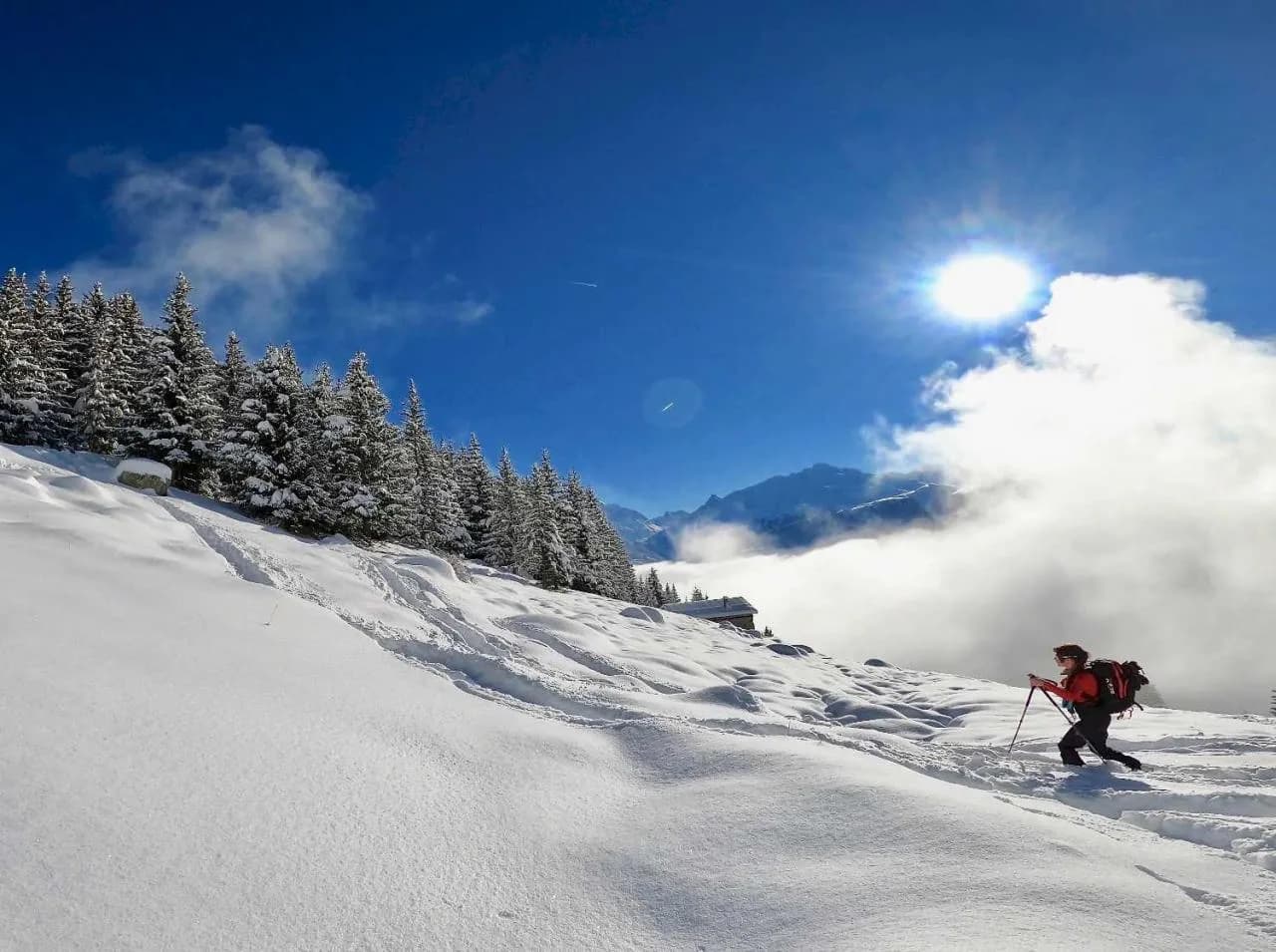 Ski de randonnée dans le Beaufortain, 4 jours