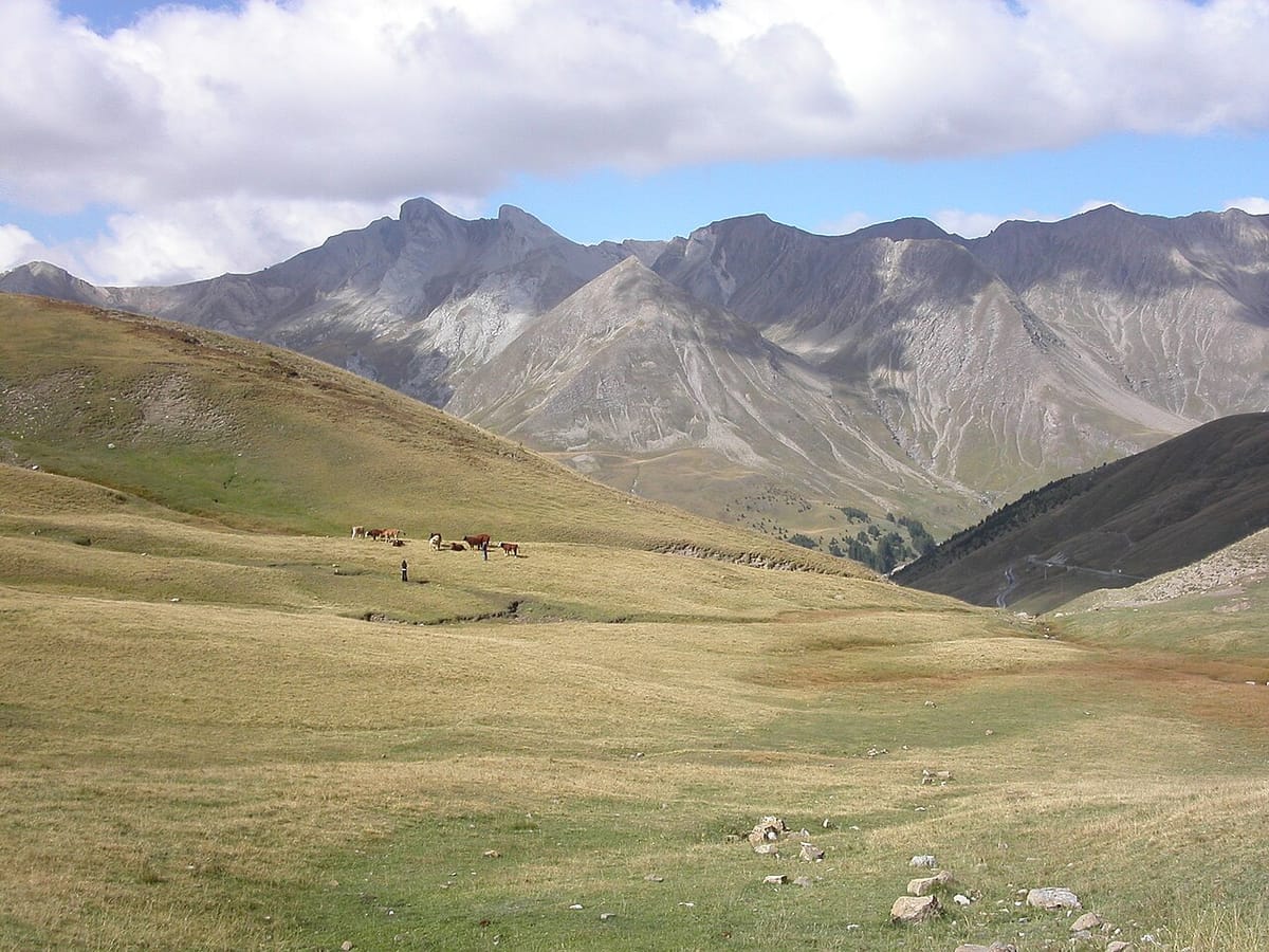 Col d'Allos