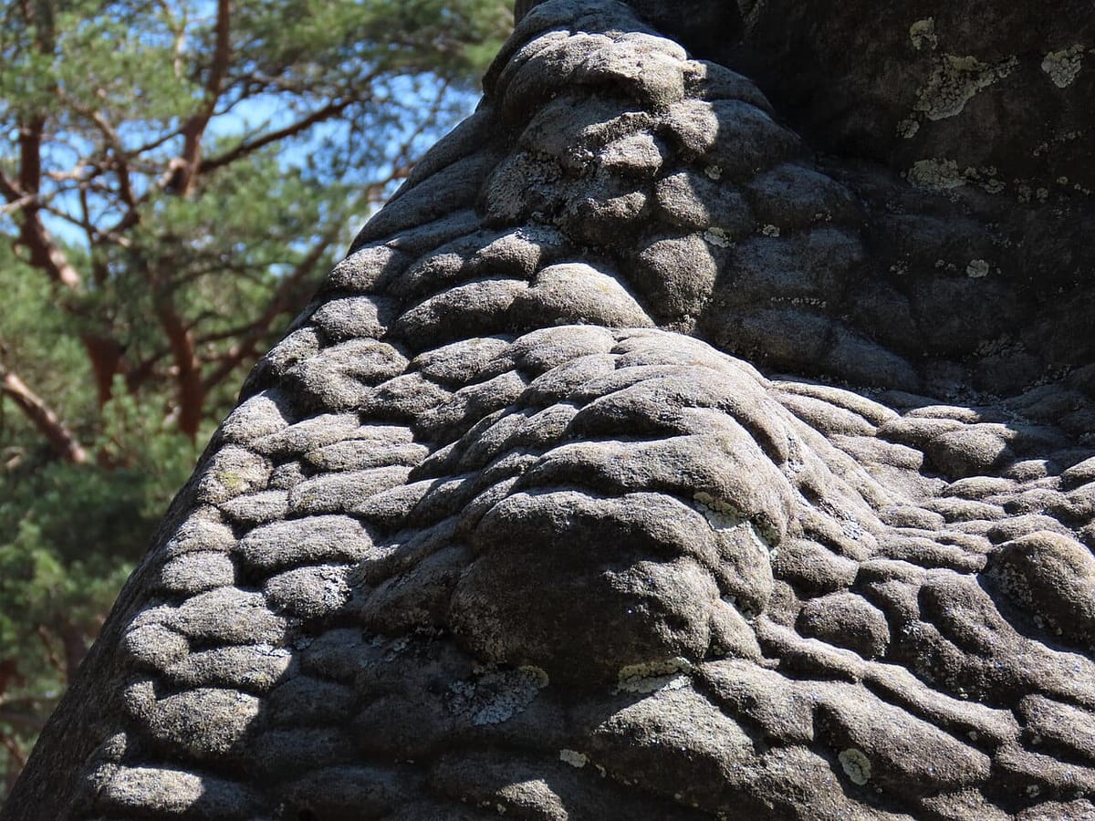 GR11, de la confluence à Fontainebleau : deux jours en Navigo