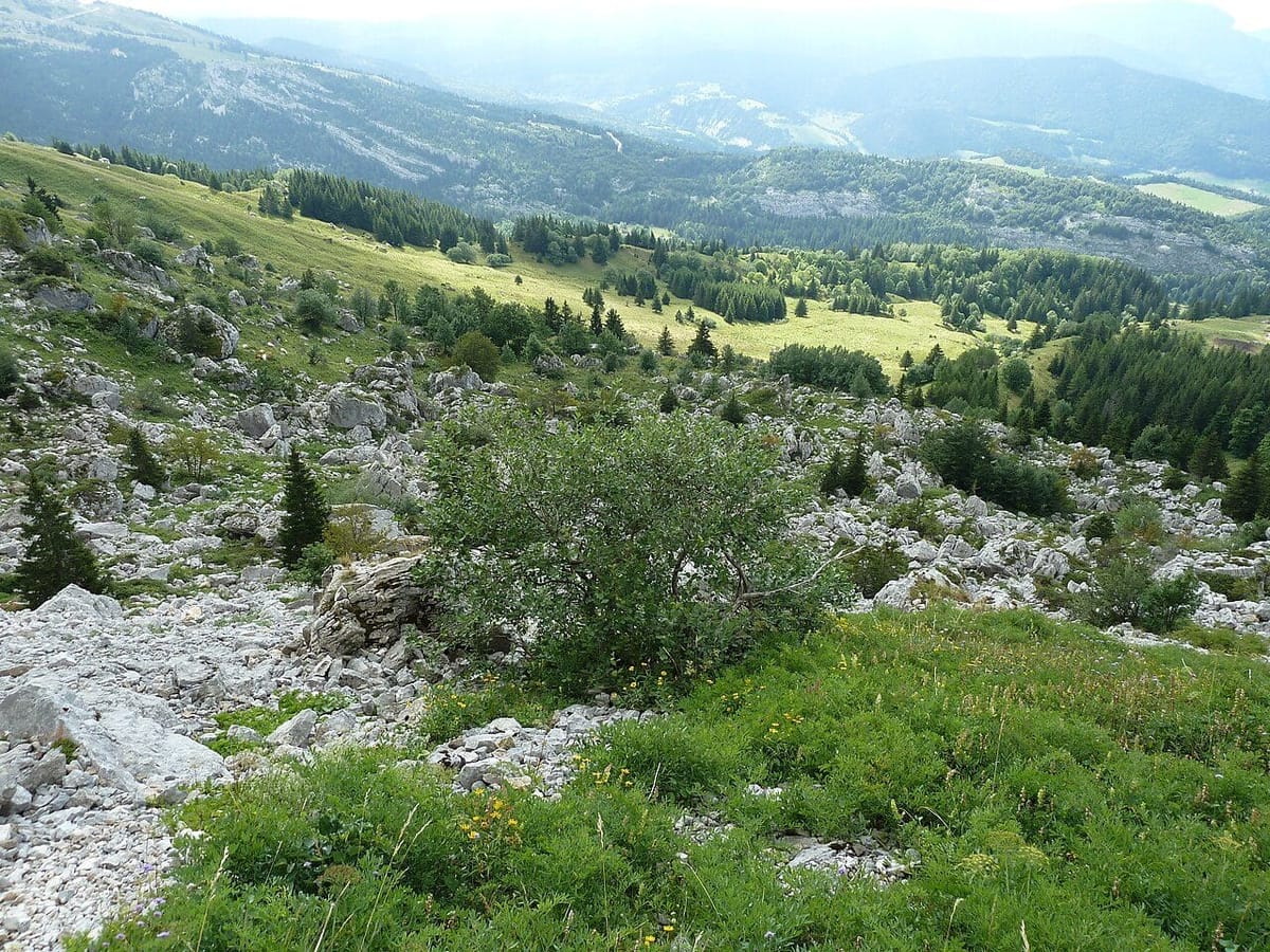 Hauts Plateaux du Vercors