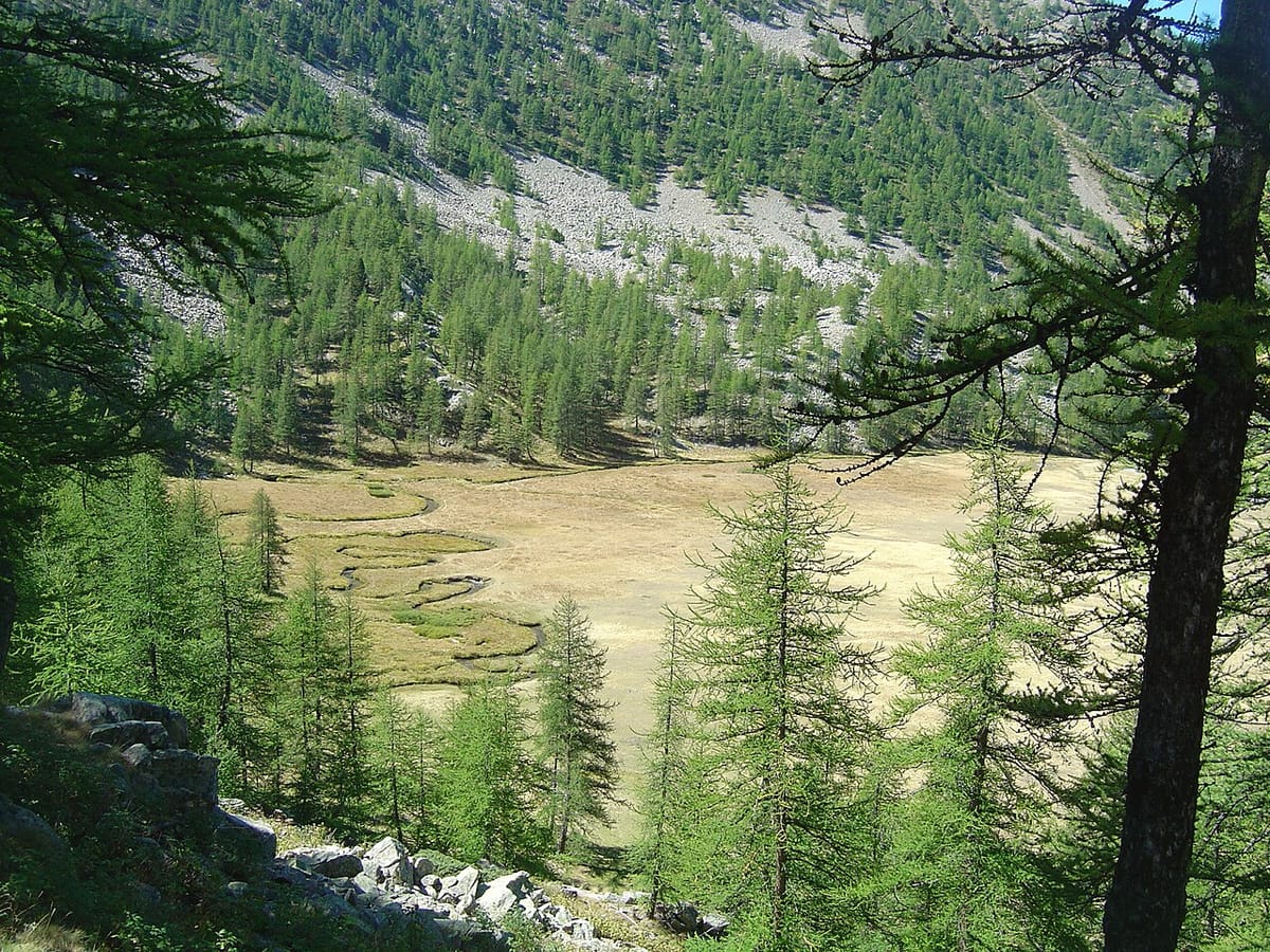 Méandre de la Serpentine, avant le lac d'Allos