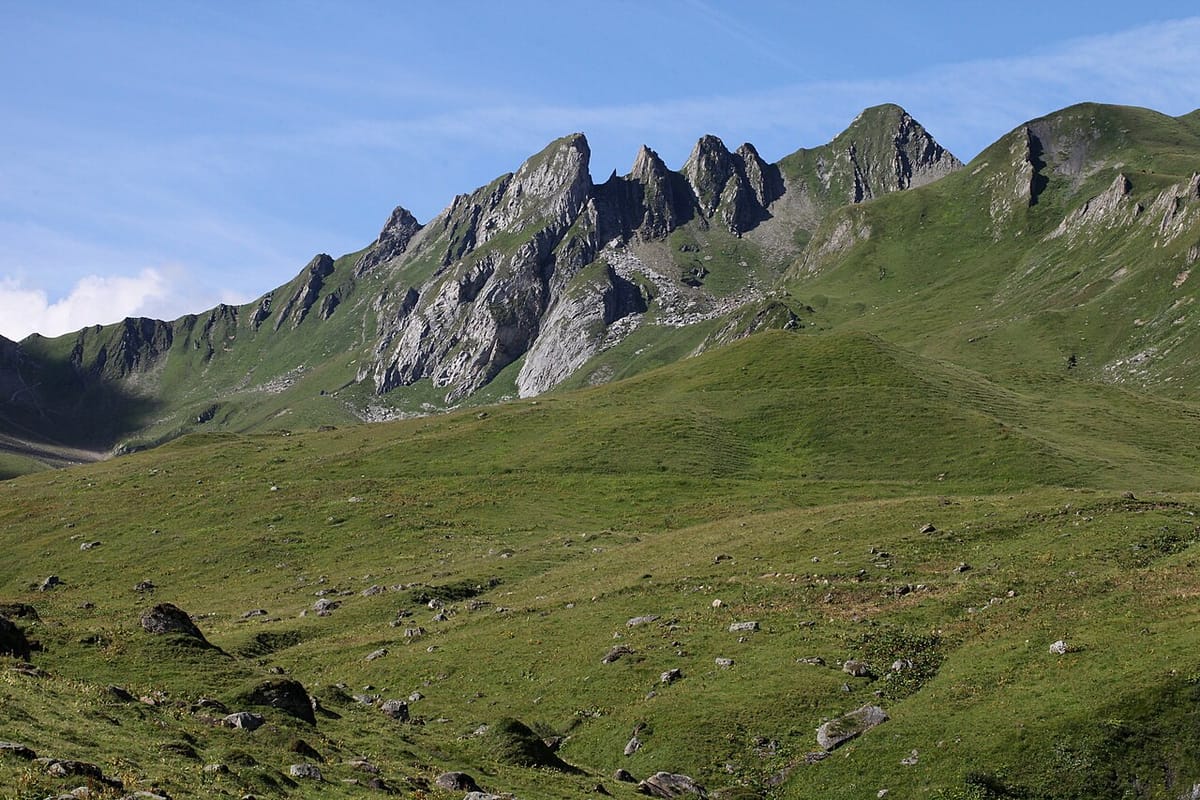 Mont Coin